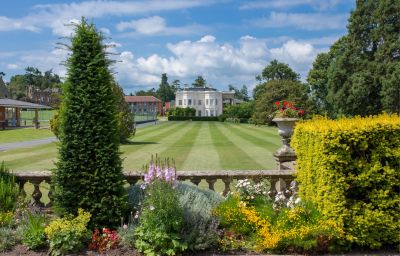 Образование в Великобритании от школы до университета